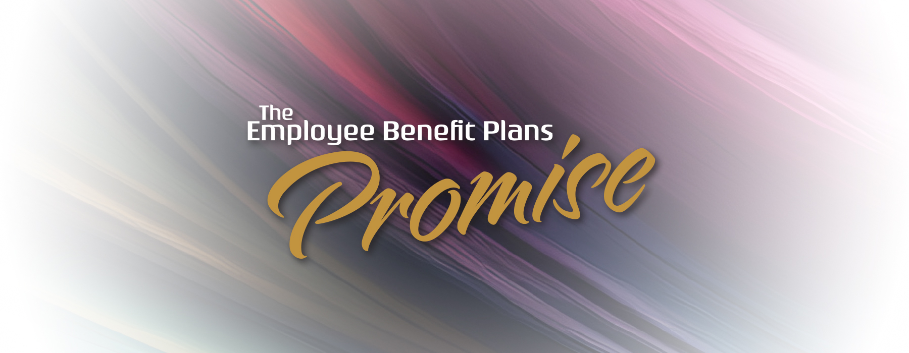 Introducing The Employee Benefit Plans Promise